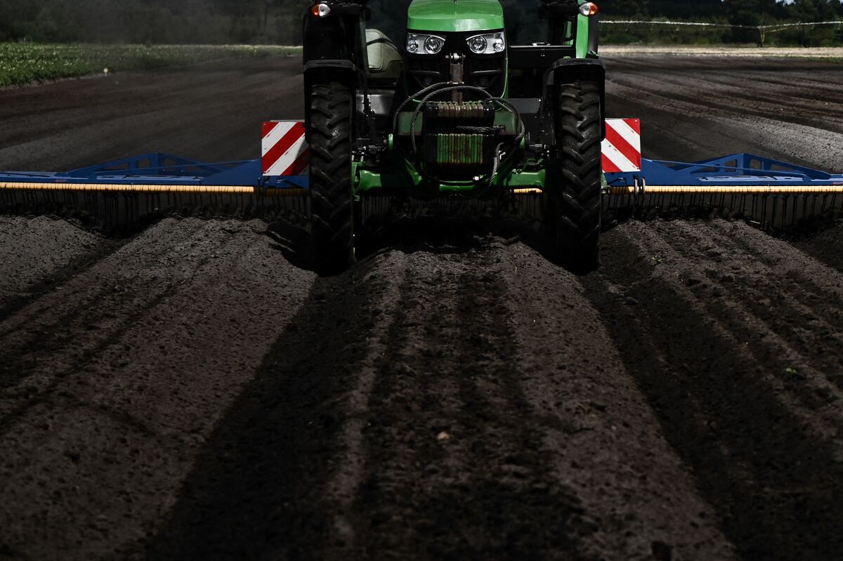 assets.bwbx.io image