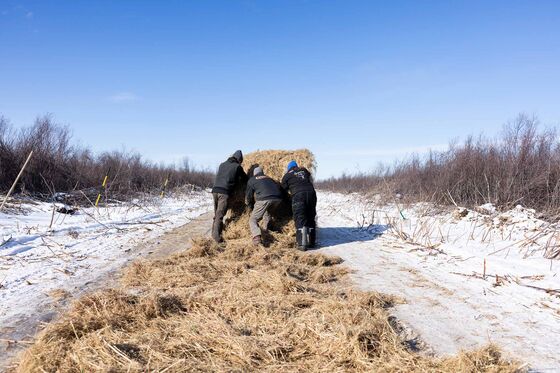 When the Pandemic Shut Its Roads, This Town Built a New One