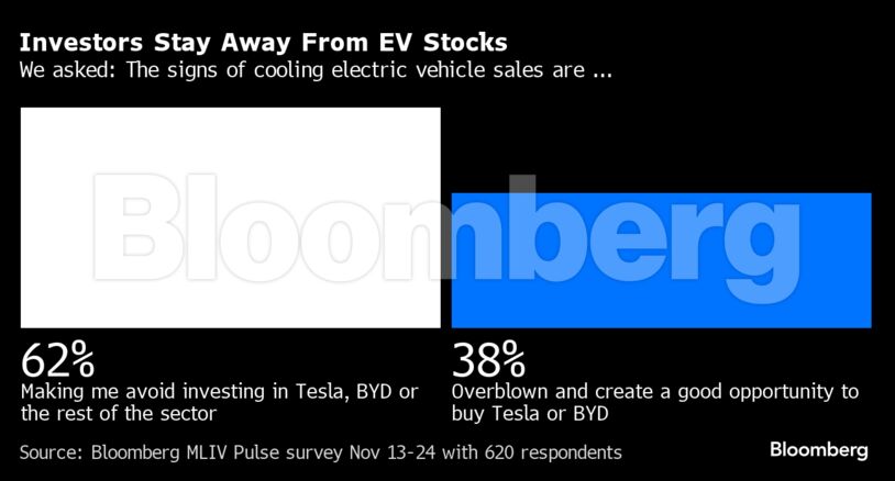 Investors Stay Away From EV Stocks | We asked: The signs of cooling electric vehicle sales are ...