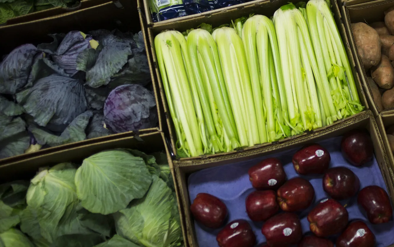 Boxes of fruits and vegetables sit at the Hunts Point Terminal Produce Market in the Bronx borough of New York.