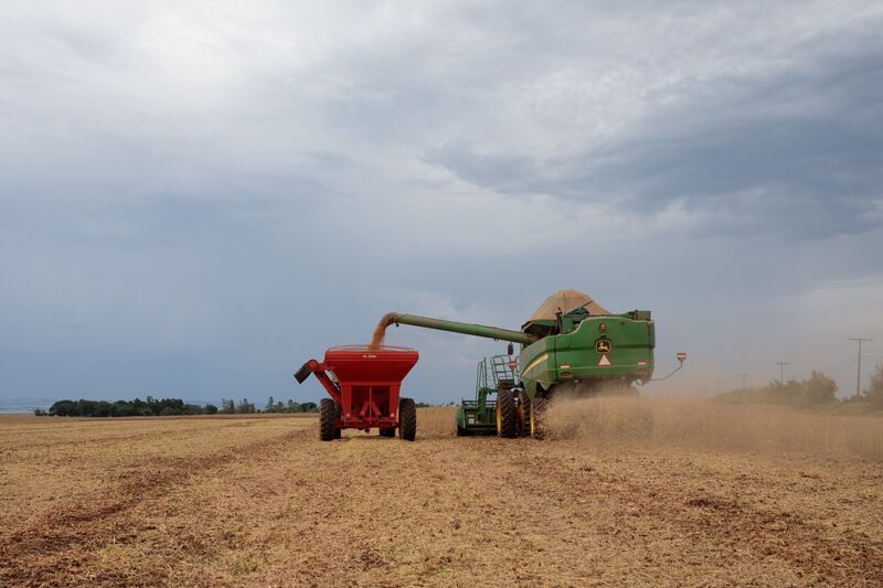 A Soybean Harvest As Delays Hamper Shipments