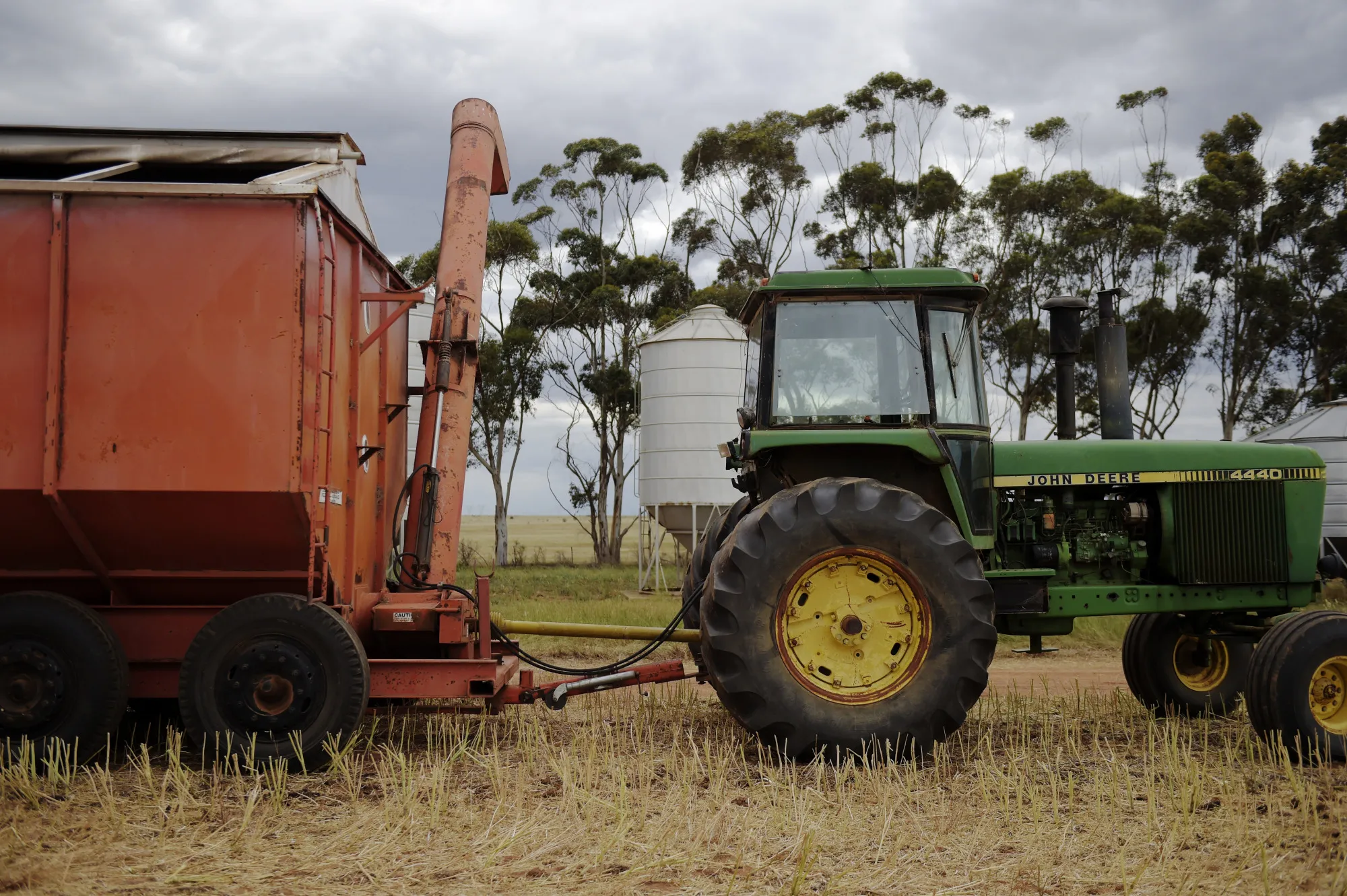 Canola Harvest in Australia