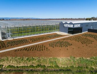 relates to Indoor Farming Company Gotham Greens Raises $310 Million in Funding Round