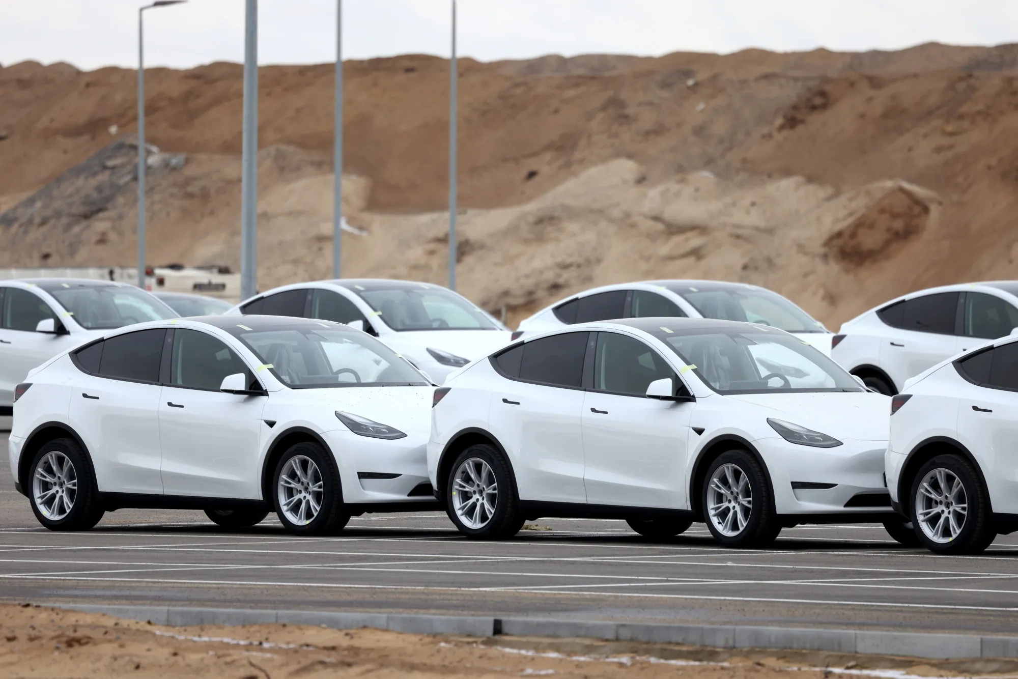 Tesla Model Y electric vehicles.