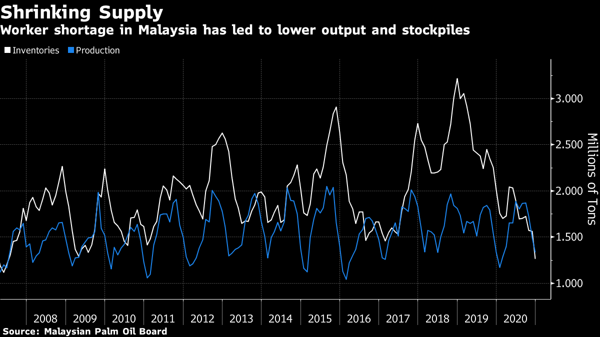 Palm Oil Output Hit by Double Whammy of Floods and Scarce Labor