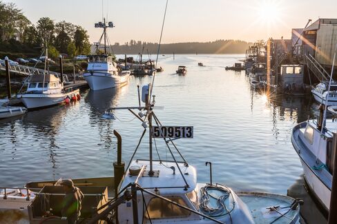 Early morning in Willapa Bay