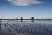 Flooded soybean fields in Santa Fe, Argentina, on Jan. 20, 2017.&nbsp;
