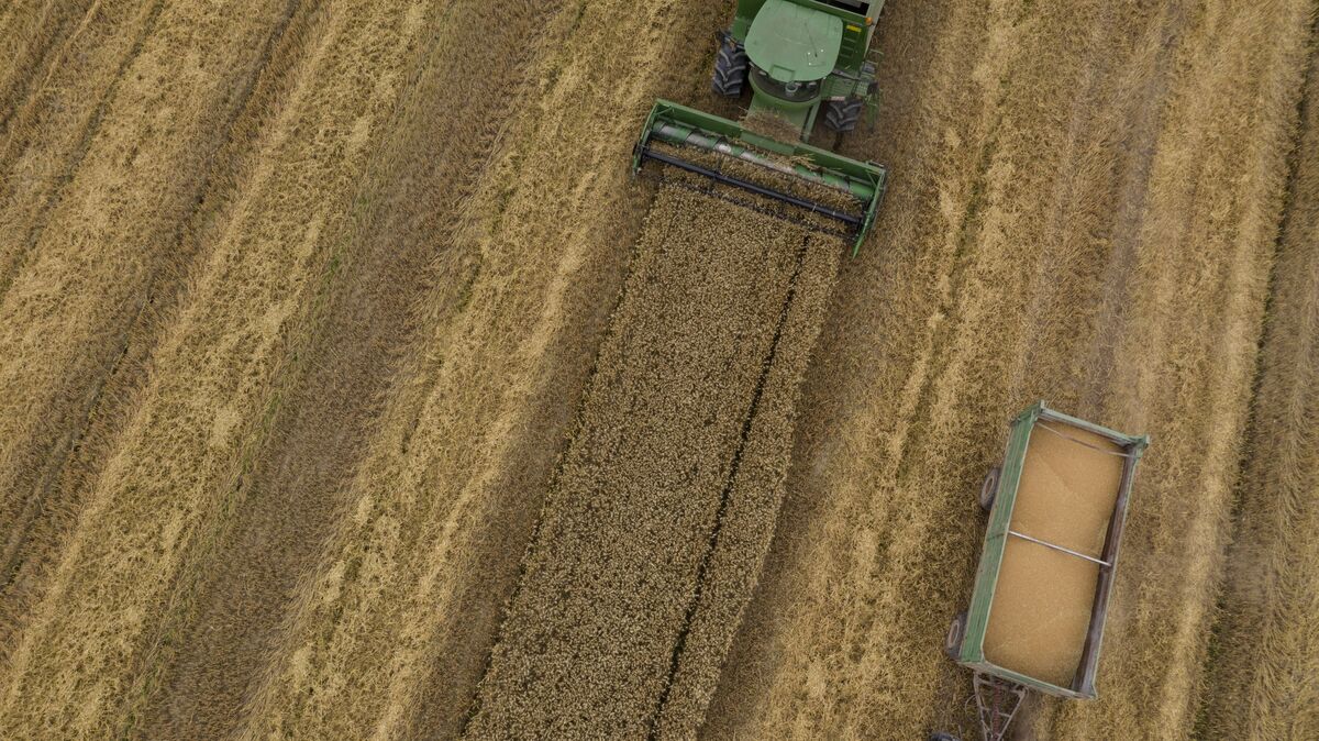 China Warns of Crop Risks as Heat Sweeps Agricultural Regions