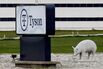 Tyson to Offer Vaccinations to Thousands of Workers in Iowa