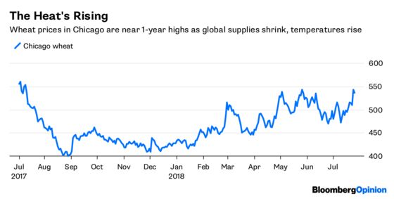 Take a Bow, Stock Market Bulls. You Earned It.