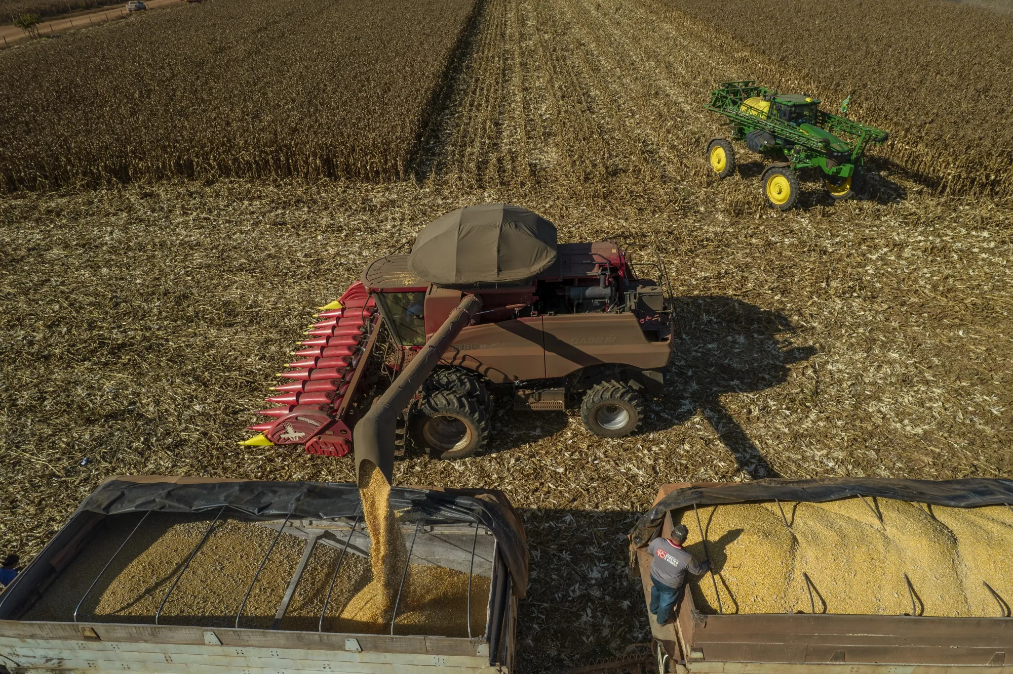 A corn harvest at a farm in Santana do Araguaia, Para state, Brazil.
