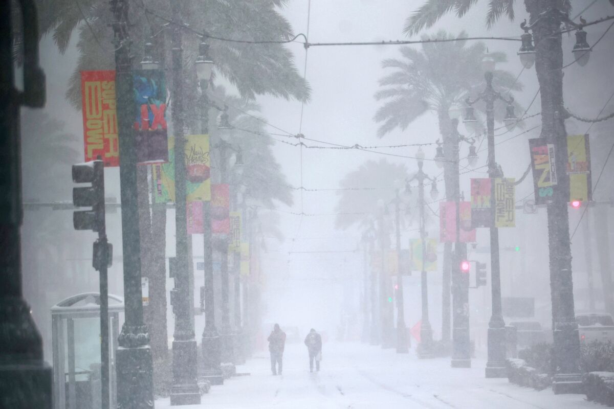 Crop Trader Declares Force Majeure Along US Gulf During Rare Southern Snow