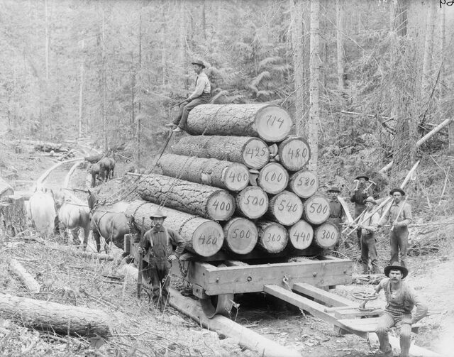 Loggers at work in northern Idaho in 1910.