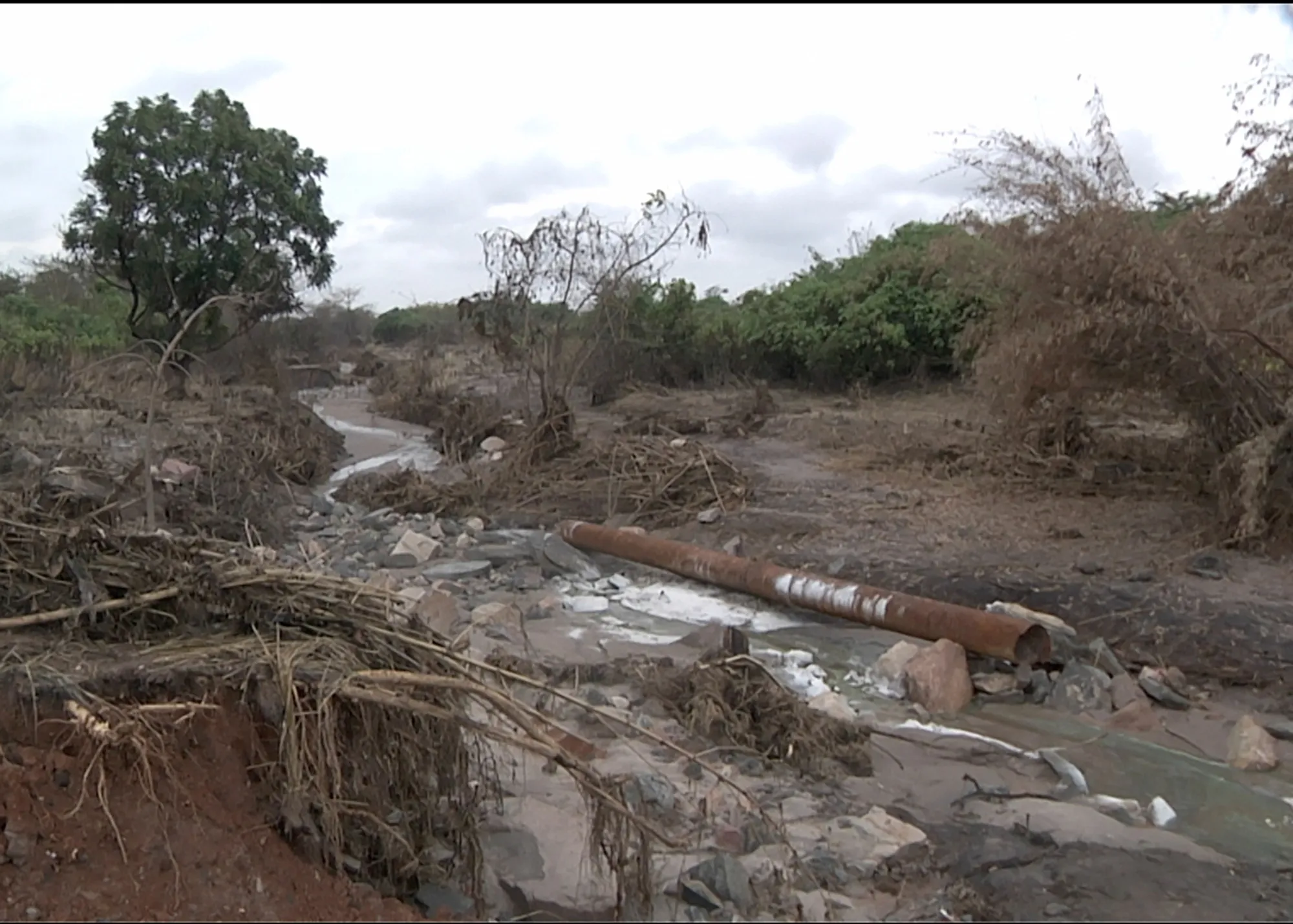 Zambia Poisoned River