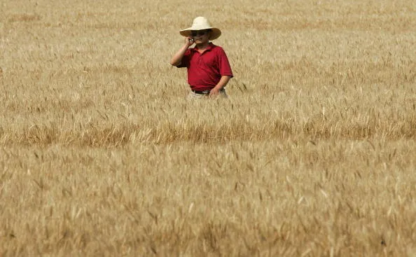 Rural consumers are more discerning about their smartphones.
