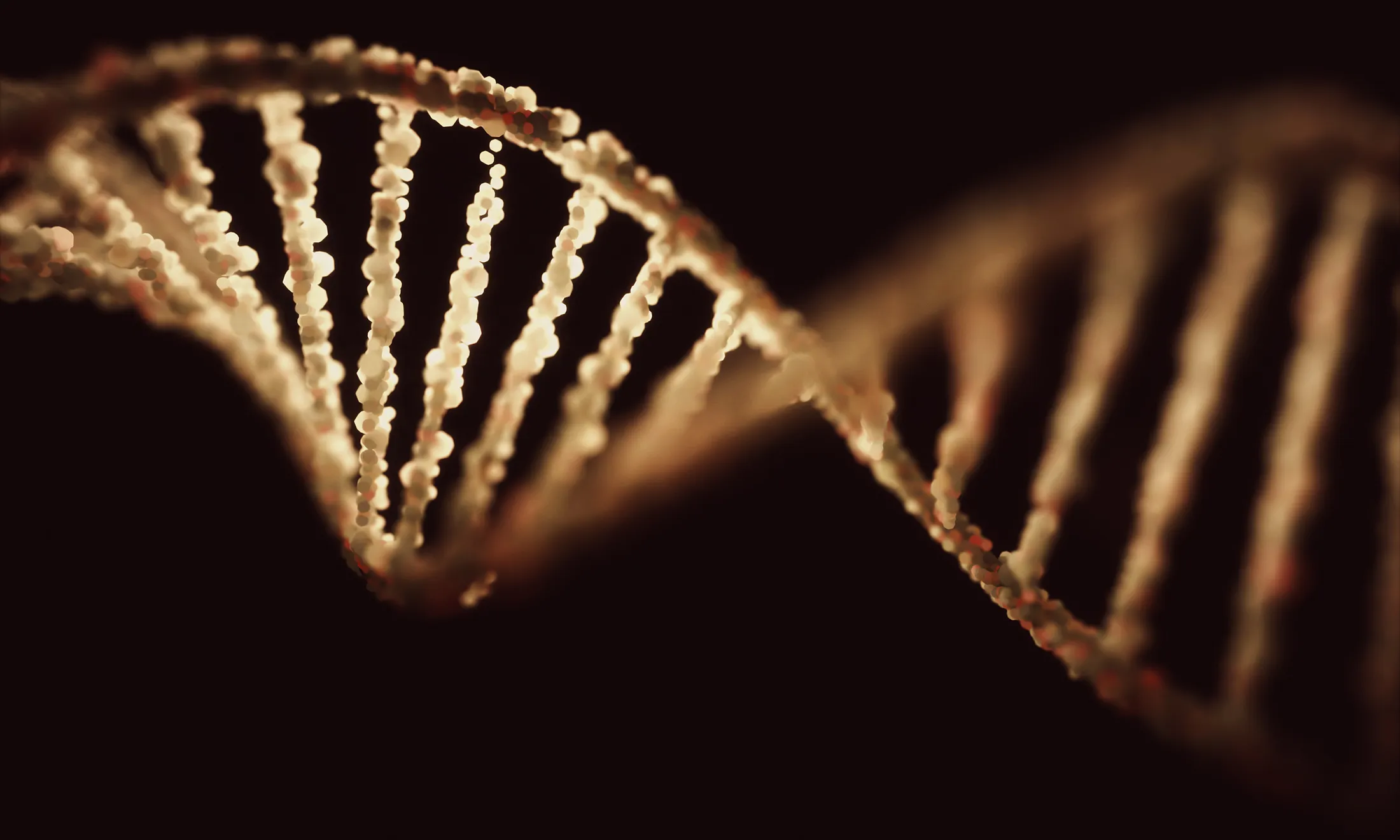 RF DNA strand