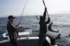 Two people on a boat in open water reel in a fish. One person in a plaid shirt, baseball cap and glasses is holding on to the pole while the other is pulling the halibut onboard using a hook.