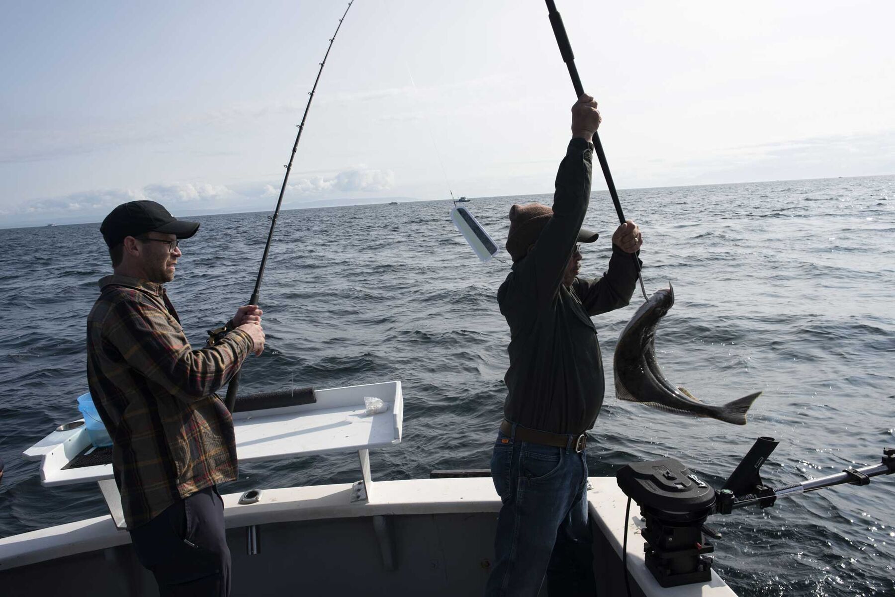Alaska pollock industry warns of full fishery closure if