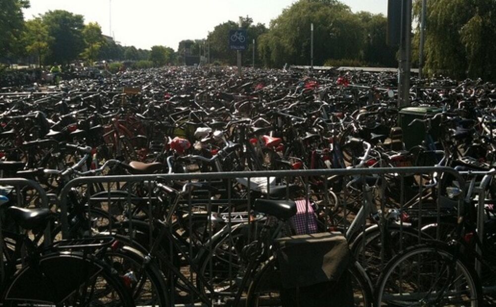 living solutions bicycle lock