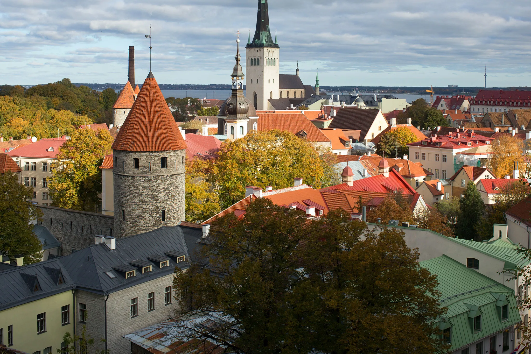 1480683538_ESTONIA