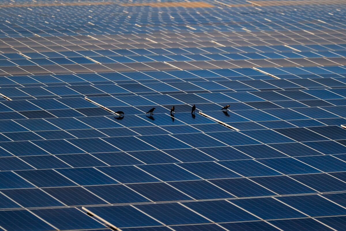 bloomberg.com - Rajesh Kumar Singh - India's Solar Manufacturing Excesses Turn a Boom Into a Glut