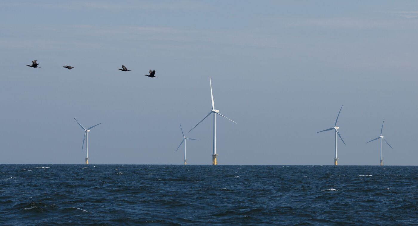 North Sea Birds Keep Miles Away From Wind Farms, Research Finds - Bloomberg