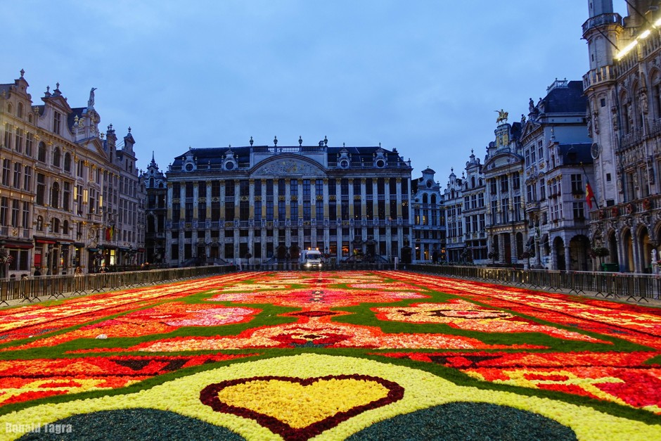 The Grand Place under a carpet of flowers, an event that occurs bi-annually in mid-August.