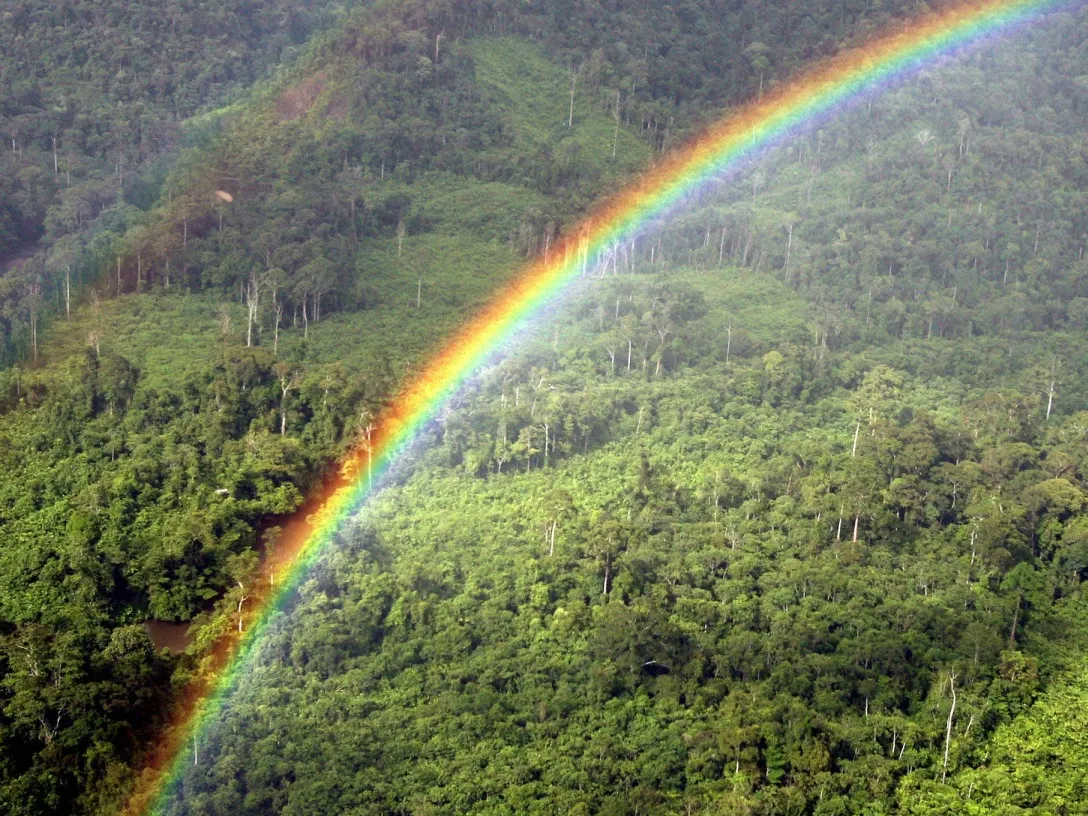 MALAYSIA-RAINFORESTS