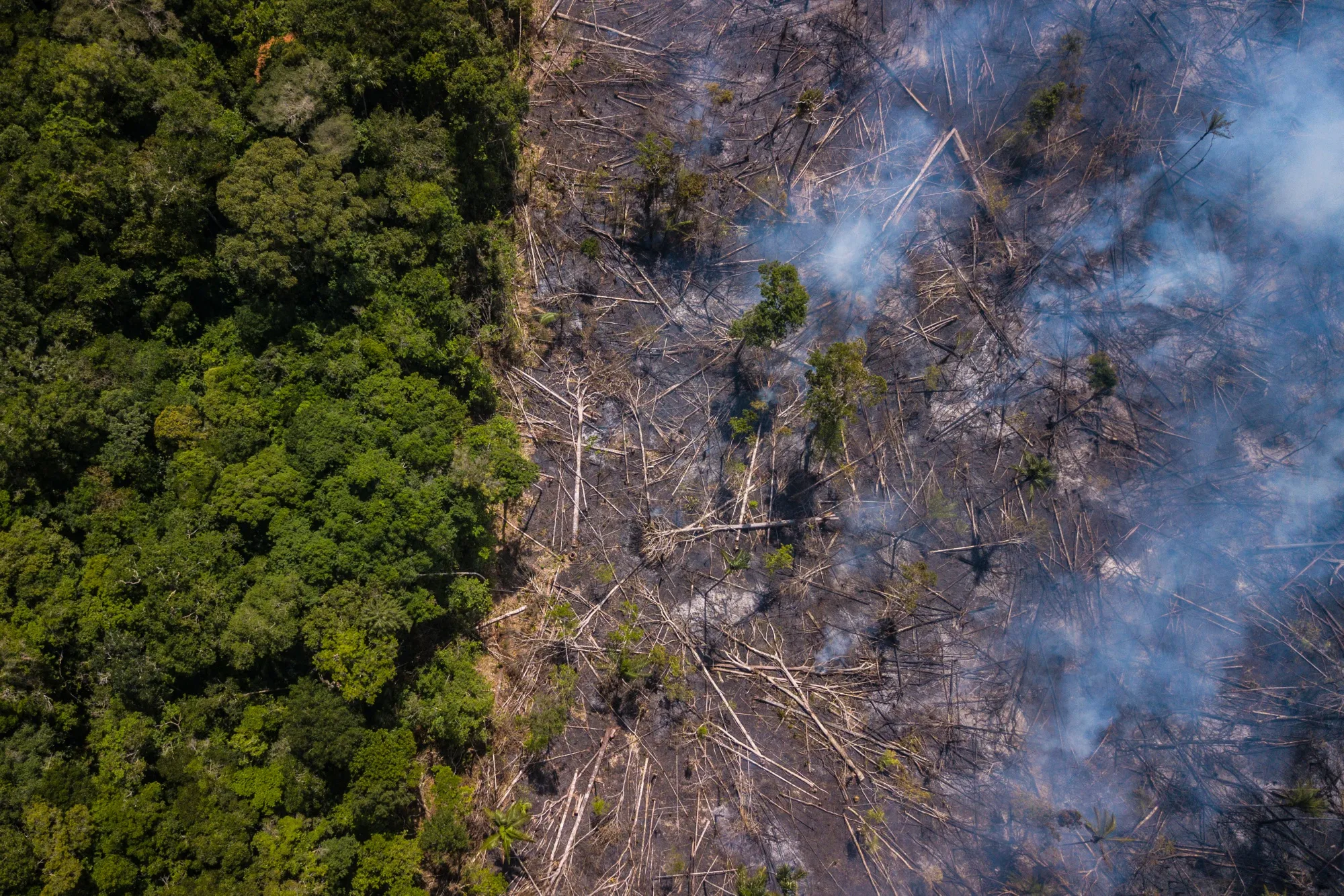 Smoke rises above the Amazon rainforest near Jundia, Brazil.