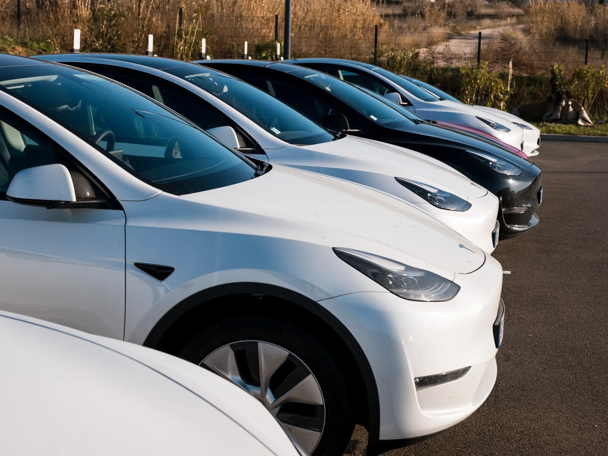 Ventas de Tesla caen 45% en Europa - Bloomberg