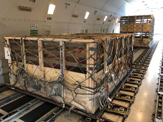 A Booming Airline Business: Shipping Pigs to China in 747 Jumbo Jets