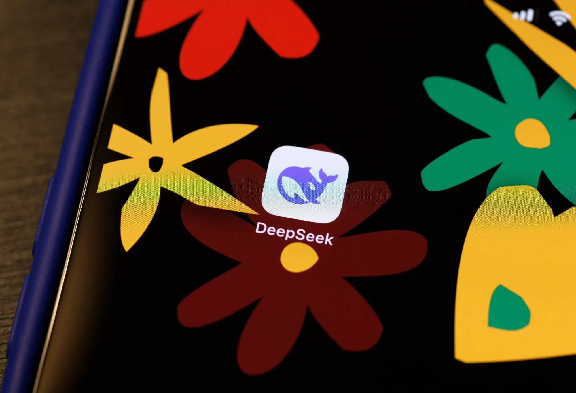 The DeepSeek app.