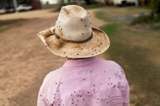 Karen Penfold, stands with back to the camera, with flies on her covering her hat and pinks shirt..