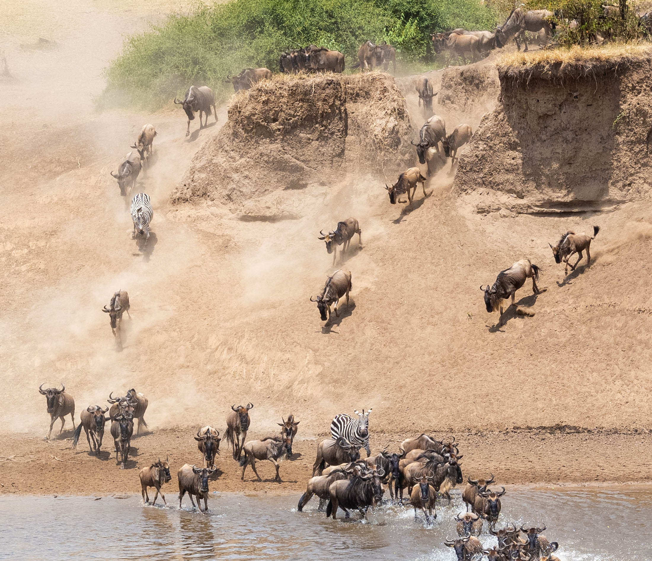 Wilderness Usawa Serengeti, the first luxury mobile camp in Tanzania