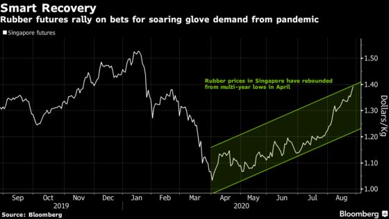 World’s Top Rubber Grower Challenges Malaysia’s Glove Dominance