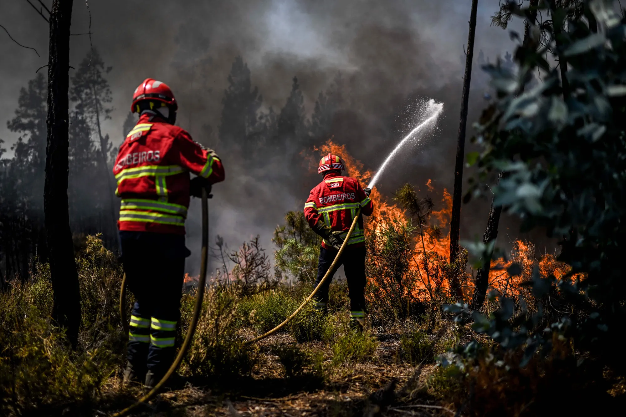 Firefighters tackle a blaze in Carrascal, Portugal.