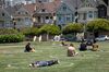 People sit on the grass in circles drawn to promote social distancing at Alamo Square in San Francisco, California, on June 11.