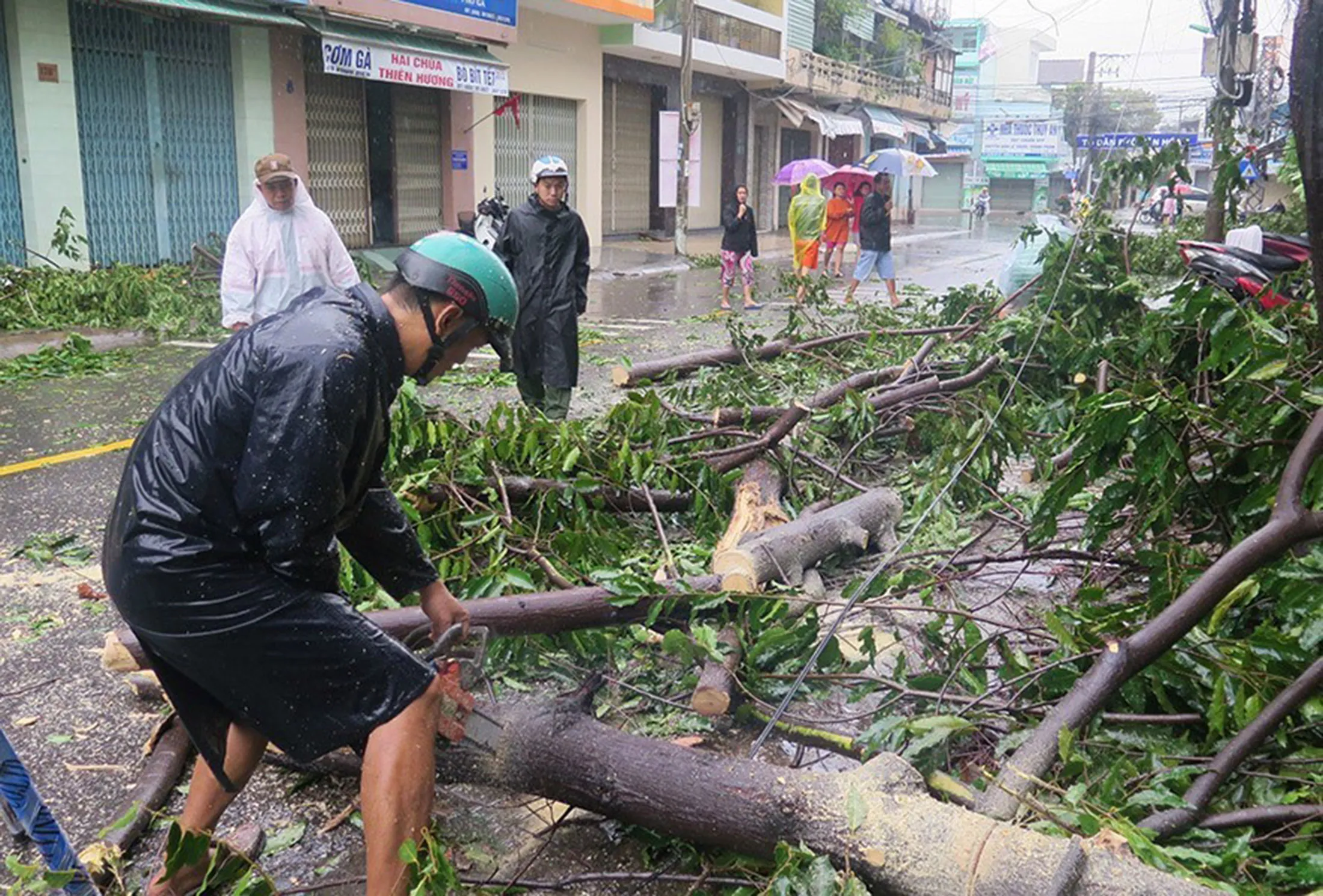 People walk past fallen trees caused by typhoon Damrey, in Nha Trang, Khanh Hoa, Nov.&nbsp;4