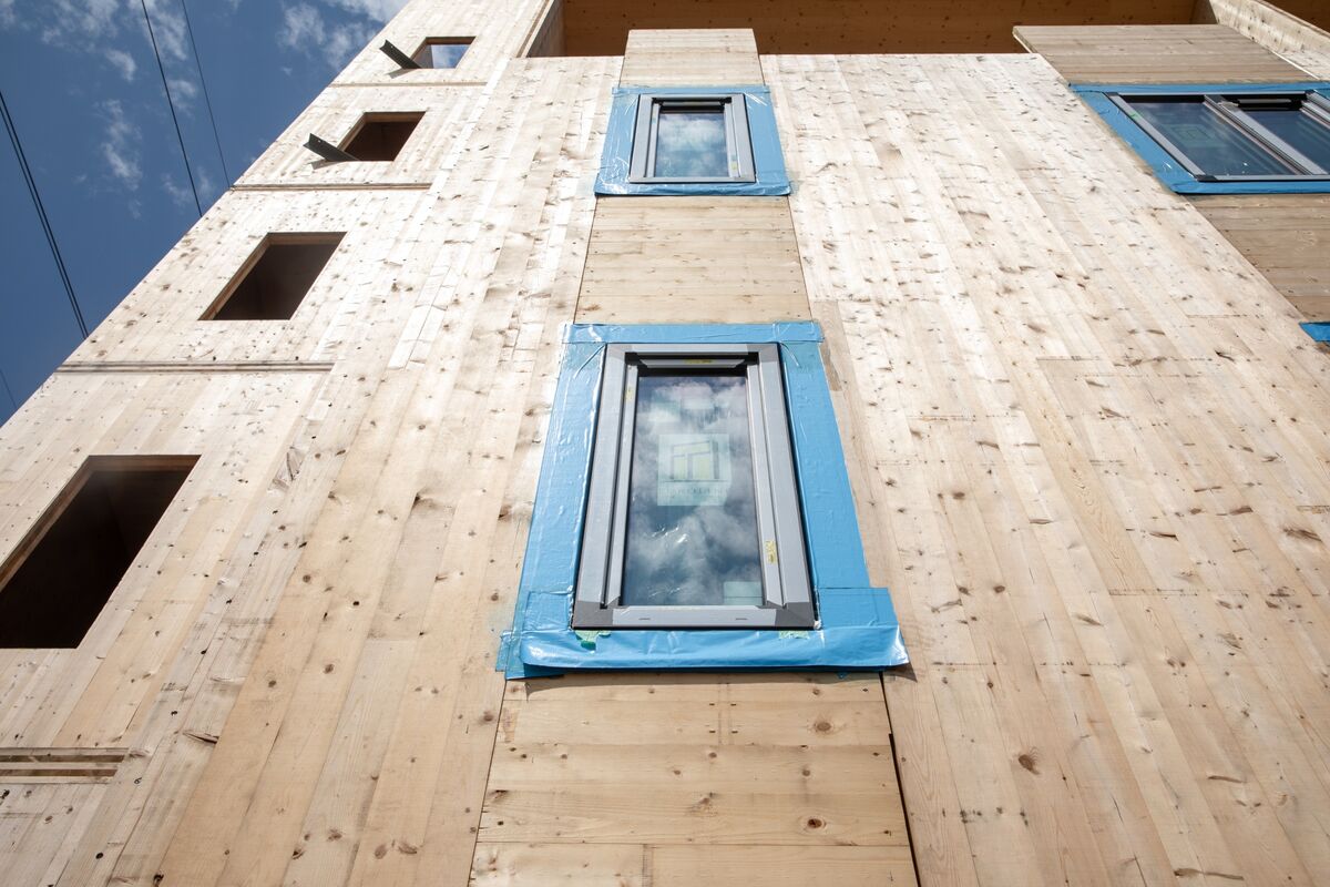 Builders Look to Nature for Alternatives to Brick, Steel and Concrete