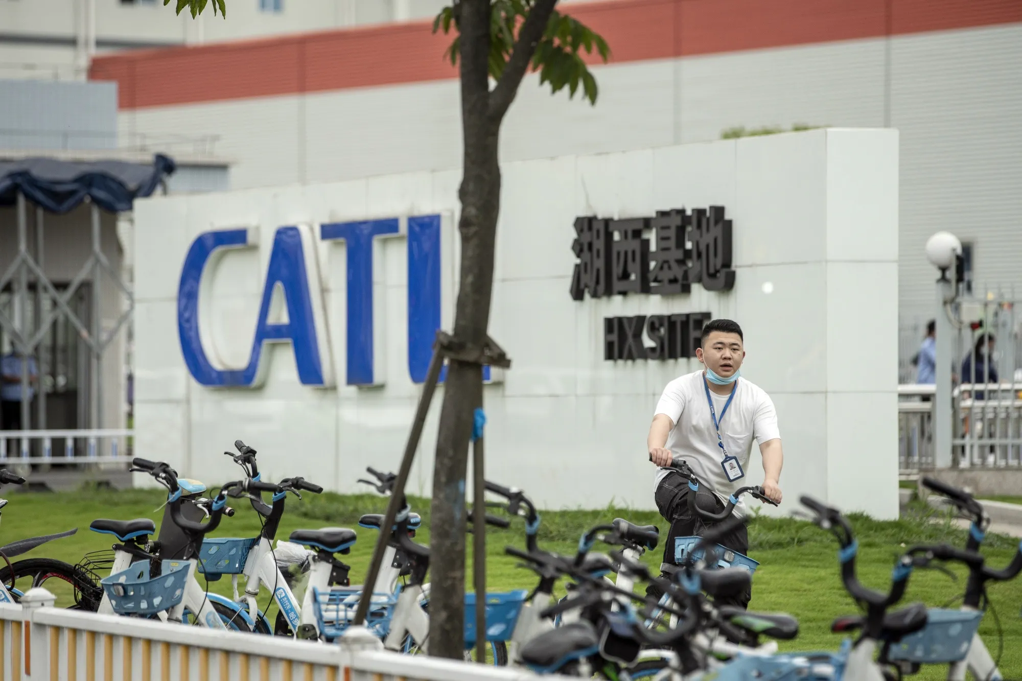 A vast ecosystem surrounds the company.