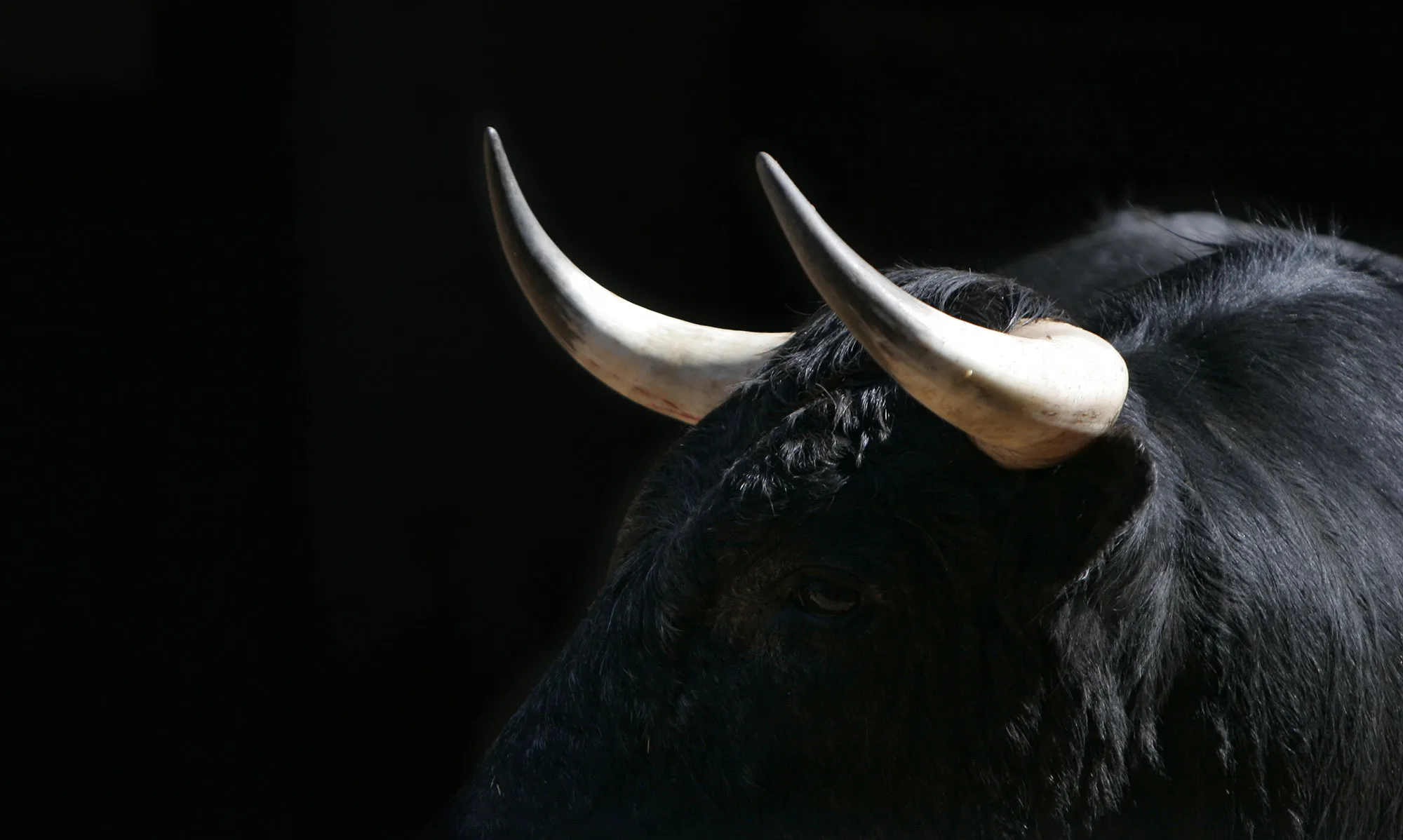 RF bull markets stocks Large Lede