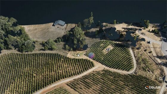 Thanks to Drones, French Wine Tastes Better