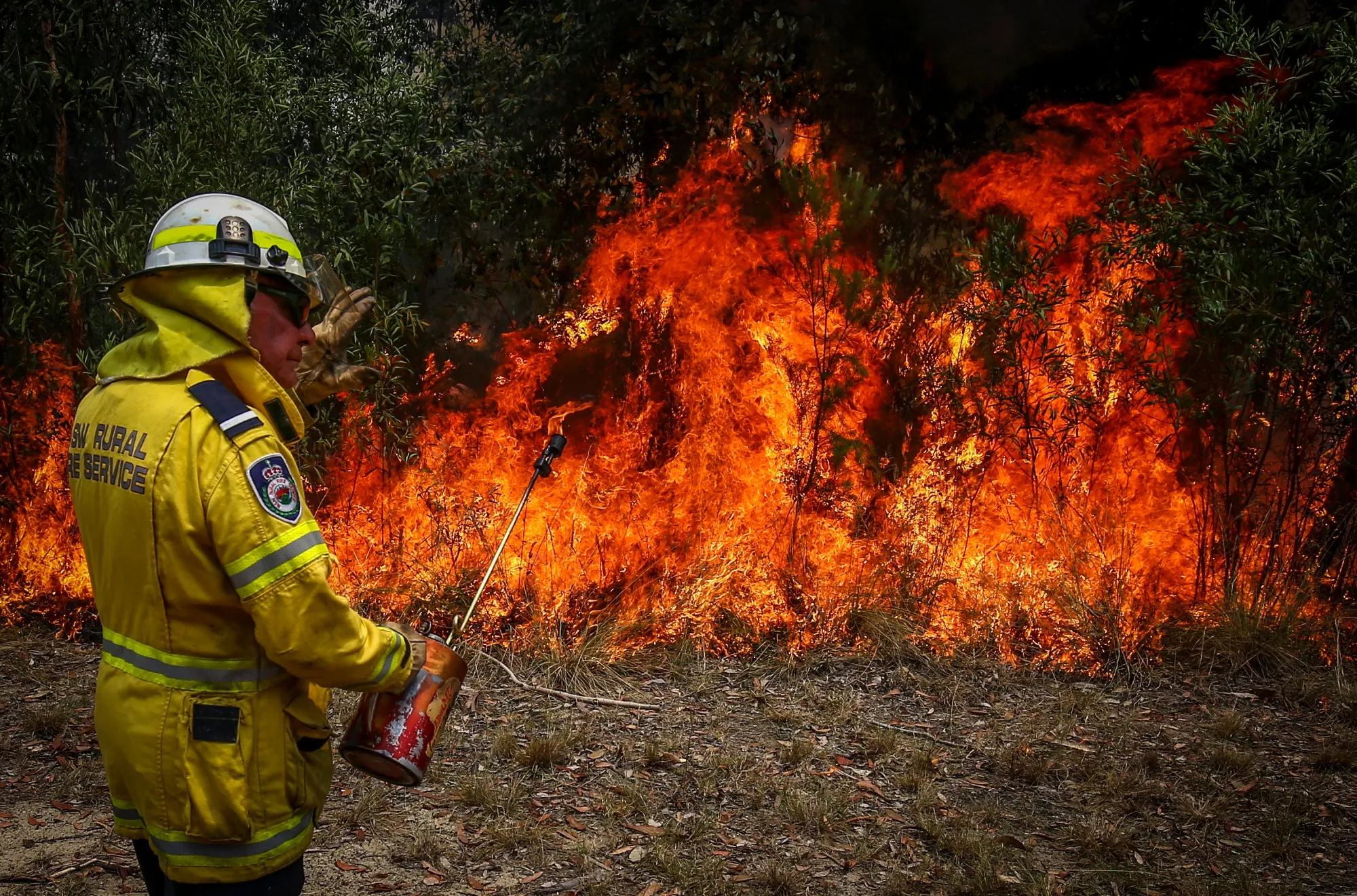 Indigenous know-how is vital in fire management.