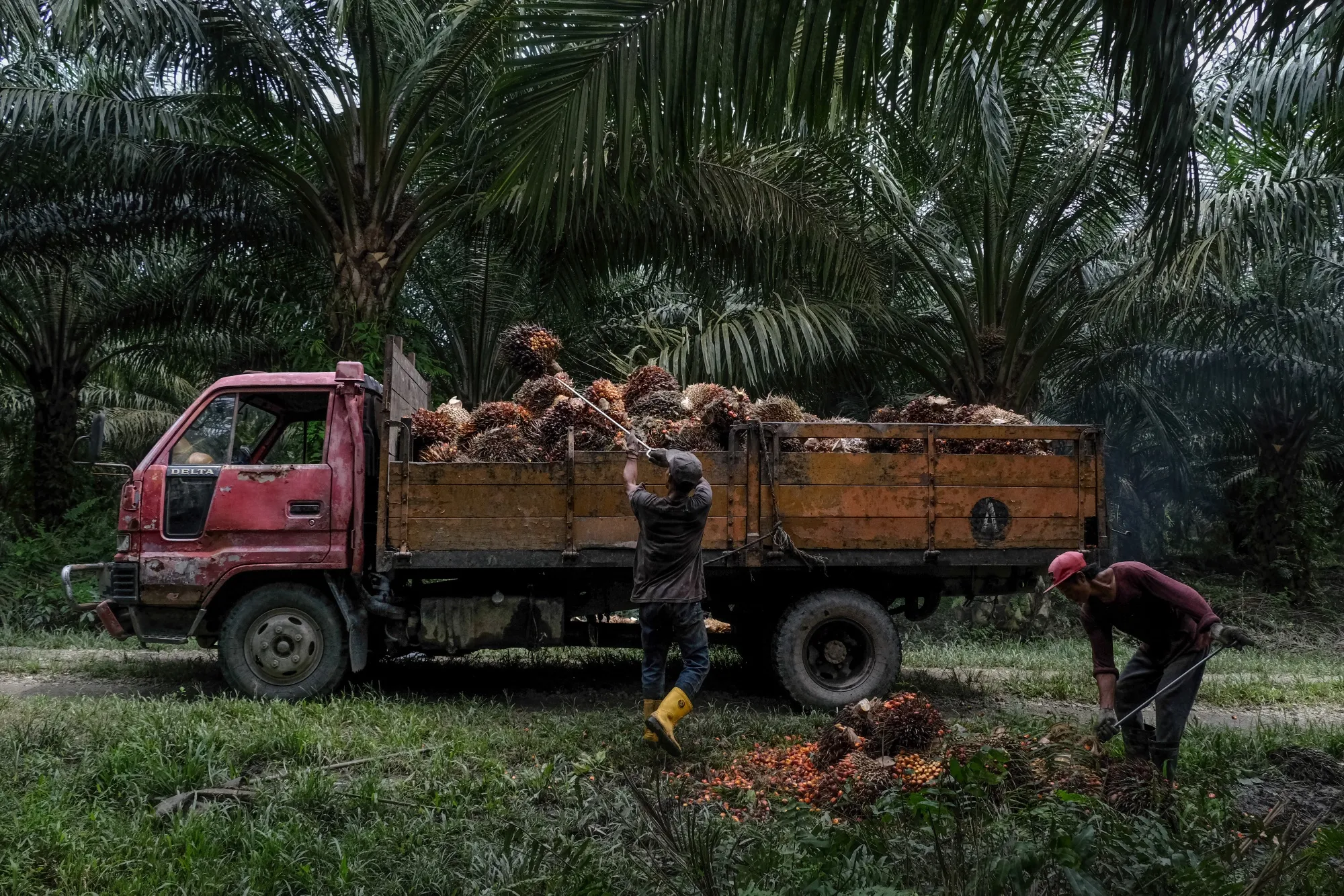 Malaysia’s&nbsp;production&nbsp;rose about 2.3% in September to a two-year high of 1.77 million tons.