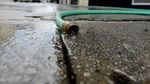 Water pours out of a hose after a worker washes the sidewalk in front of a business in downtown Los Angeles, California, U.S. on Friday, July 18, 2014.
