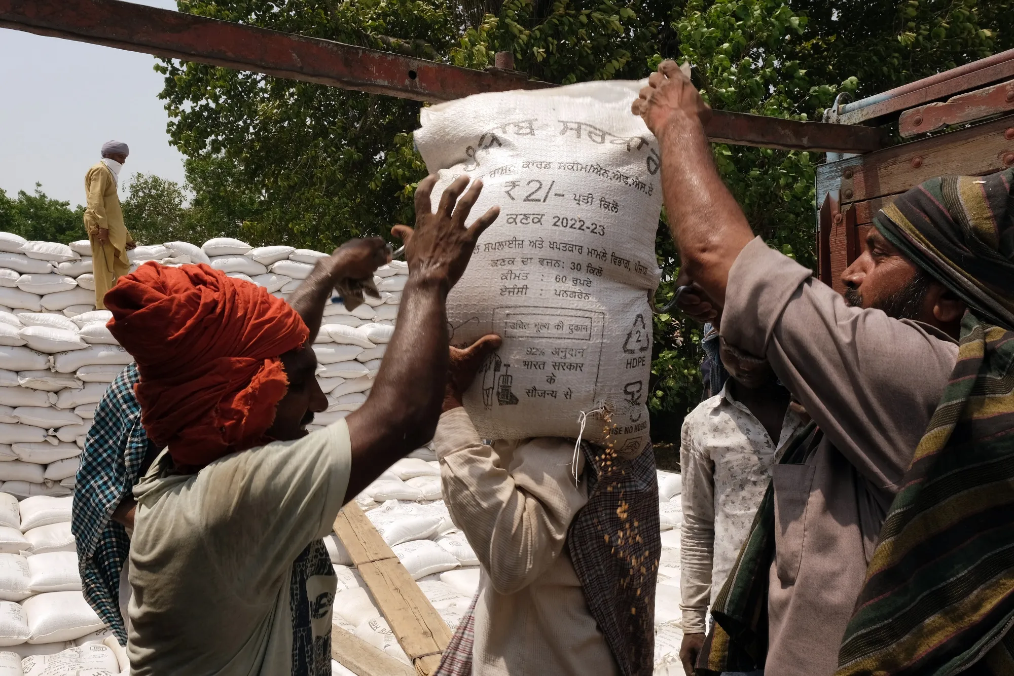 Workers unload wheat at a&nbsp;facility in the Ludhiana district of Punjab, India.&nbsp;