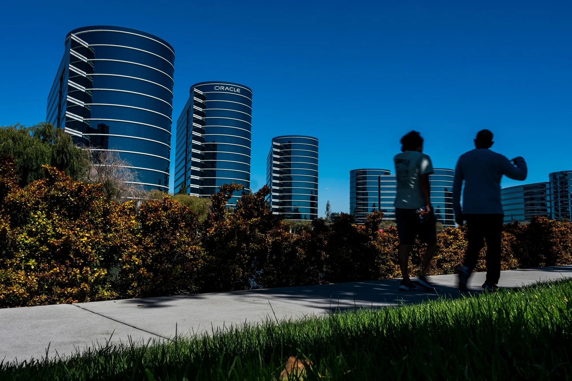 The Oracle offices in Redwood City, California.