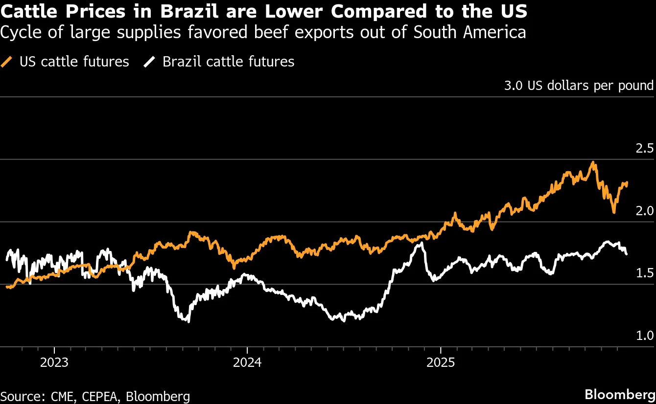 Cattle Prices in Brazil are Lower Compared to the US | Cycle of large supplies favored beef exports out of South America