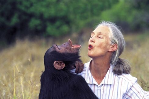 Jane Goodall