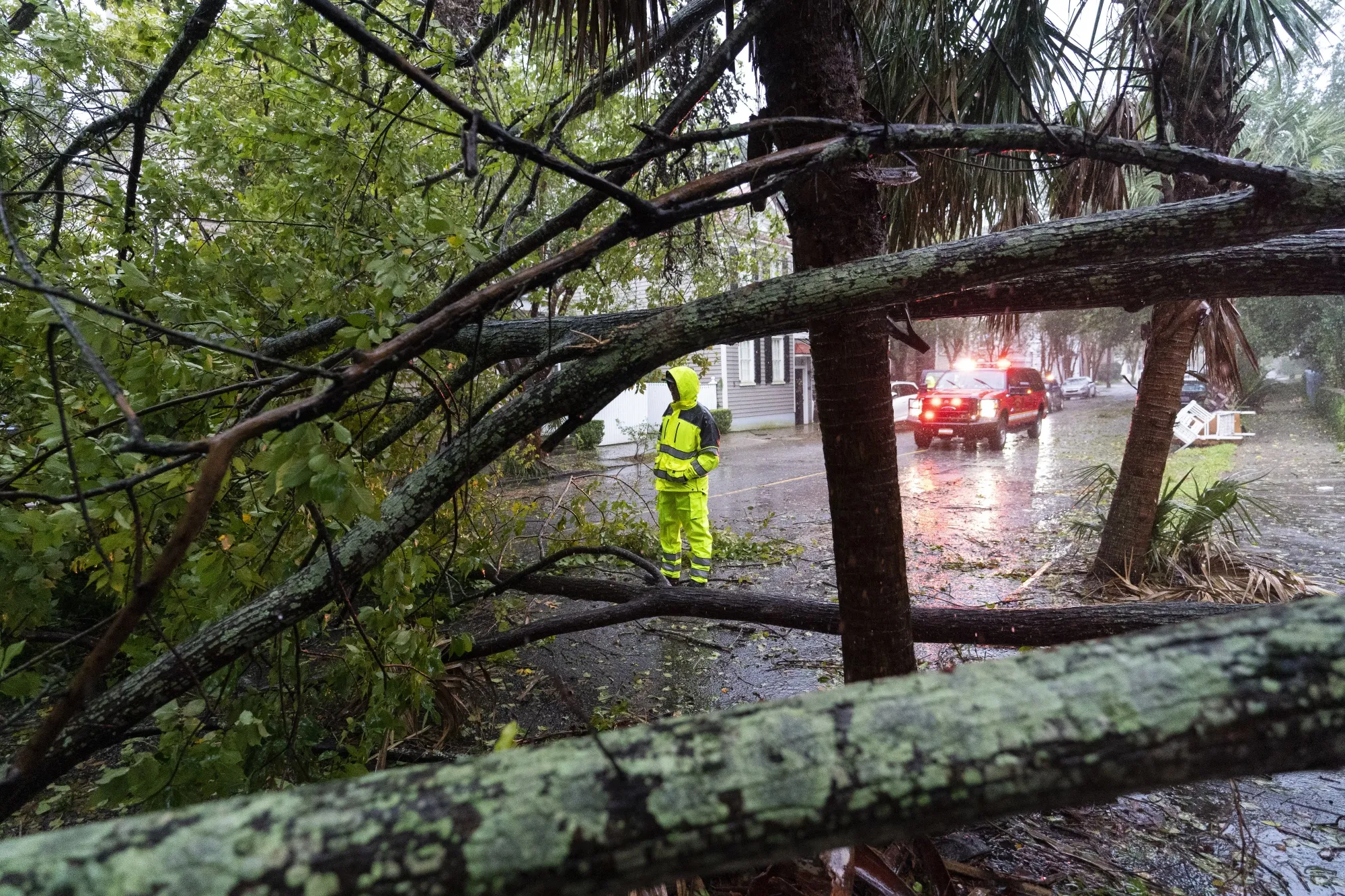 A firefighter examines a large tree across a road as the effects from Hurricane Ian are felt, Friday, Sept. 30, 2022, in Charleston, S.C. (AP Photo/Alex Brandon)
